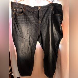 Torrid Women’s Dark Blue Jeans